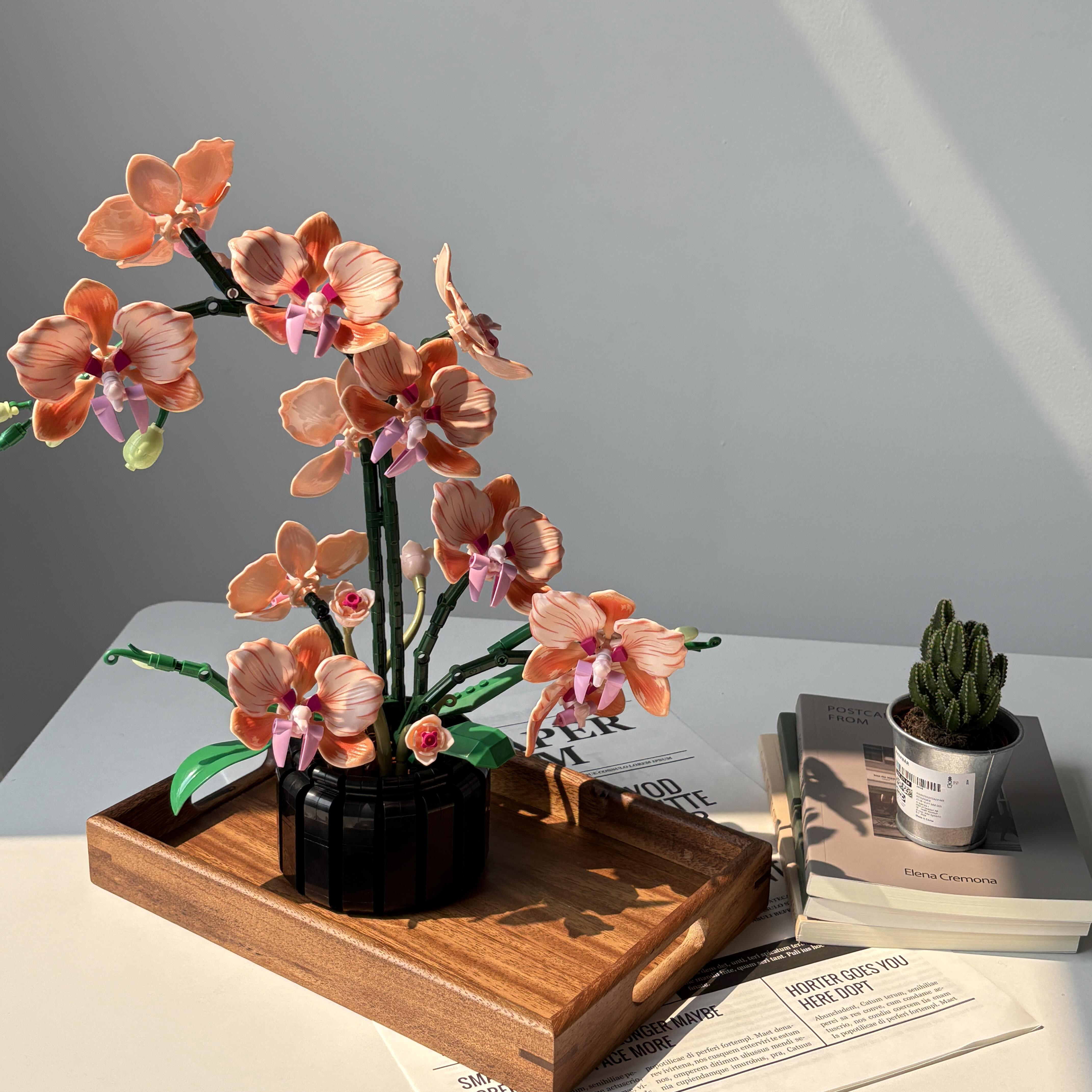 Orange Phalaenopsis Orchid Bui - Flower Girl Basket ulasan dan harga